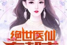 绝世医仙在都市最新章节，绝世医仙在都市章节在线阅读-贝壳文学