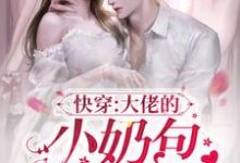 快穿：大佬的小奶包身娇体软小说全文哪里可以免费看？-贝壳文学