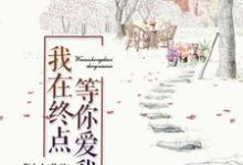 求推荐可以免费阅读我在终点等你爱我小说的网站-贝壳文学