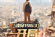 男女主人公林子橙橙子小说魂穿1963：开局遭遇饥荒章节免费阅读-贝壳文学