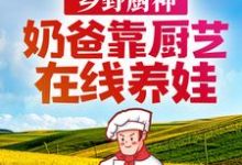 主角陈观澜诺诺小说乡野厨神：奶爸靠厨艺在线养娃免费阅读-贝壳文学