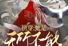已完结小说《快穿：她是无所不能的神》在线章节阅读-贝壳文学
