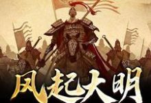 免费阅读朱祁钰汪慧敏为主角的小说，风起大明1449在线看-贝壳文学