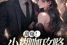 甜爆!小糊咖攻略京城大佬小说的免费阅读版本在哪里可以找到?-贝壳文学