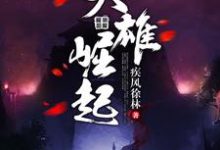 寻找能够免费阅读英雄崛起小说的平台-贝壳文学