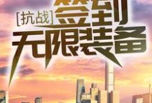 抗战：签到无限装备！最新章节，抗战：签到无限装备！免费阅读-贝壳文学