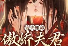 在线搜索江沉封凝的完整小说，免费阅读宠夫如命：傲娇夫君哪里逃-贝壳文学