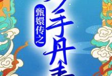 孙妙青胤禛小说叫什么(甄嬛传之妙手丹青免费阅读)-贝壳文学