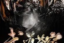 求武道苍穹小说的全文免费阅读链接-贝壳文学