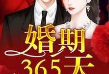 婚期365天最新章节，婚期365天章节在线阅读-贝壳文学