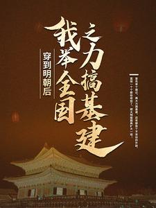 寻找穿到明朝后，我举全国之力搞基建小说的最新更新章节