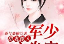 求甜妻撩人：军少心尖宠小说免费资源-贝壳文学