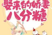 小说《甜蜜诱饵：娶来的娇妻八分糖》章节免费阅读-贝壳文学