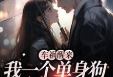 免费阅读许嘉禾宋沂为主角的小说,车祸醒来,我一个单身狗有了娃?在线看-贝壳文学