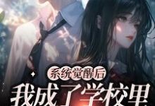 小说《系统觉醒后,我成了学校里的万人迷》章节阅读-贝壳文学