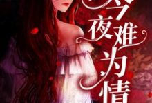 今夜难为情这本小说怎么样？免费在线阅读试试-贝壳文学