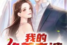 我的绝美老婆小说的最新章节在哪里更新？免费追踪阅读-贝壳文学