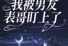 因为彩礼，我被男友表哥盯上了小说完结了吗？在哪里可以免费读到？-贝壳文学