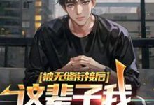 被无缝衔接后，这辈子我选魅魔学姐江言林软苏在线章节免费阅读-贝壳文学