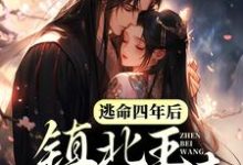 主角叫云漫漫墨北渊的小说在哪阅读-贝壳文学