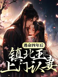 在线寻找云漫漫墨北渊的小说，逃命四年后，镇北王上门认妻免费阅读