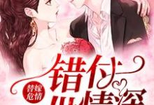 主角沈随心顾冷言小说替嫁危情：错付一世情深免费阅读-贝壳文学