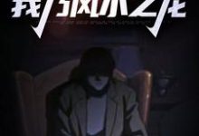 拜师老乞丐：我乃风水之龙（陈启林苏荷）在线免费阅读-贝壳文学
