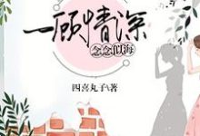许念顾洺衍为主角的小说一顾情深，念念似海在线阅读-贝壳文学