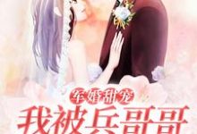 已完结小说《军婚甜宠：我被兵哥哥宠爆了》章节在线阅读-贝壳文学