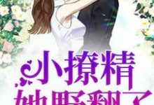 免费在线阅读豪门团宠：小撩精她野翻了小说的正规网站有哪些？-贝壳文学