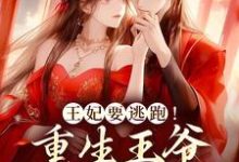 男女主人公叫萧北乾沈从安的小说免费资源-贝壳文学