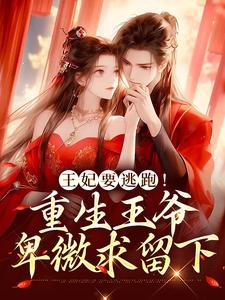 萧北乾沈从安是哪本书的主角？王妃要逃跑！重生王爷卑微求留下免费读