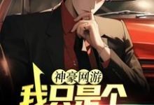 赵林小说在线章节免费阅读(神豪网游:我只是个萌新玩家无弹窗无删减)-贝壳文学
