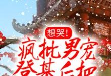 想哭！疯批男宠登基后把她铐上了婳婳离渊小说大结局免费试读-贝壳文学