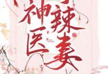 小说《神医小辣妻》在线章节阅读-贝壳文学