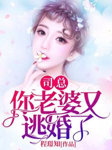 程宁赏司擎琛顾霆北程翩然小说叫什么（司总，你老婆又逃婚了免费阅读）