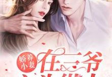 司念念念念绵绵的故事在哪本书里？免费阅读娇养小妻在三爷心头纵火-贝壳文学