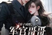 奉子成婚：军官哥哥别太宠小说的免费阅读版本在哪里可以找到？-贝壳文学