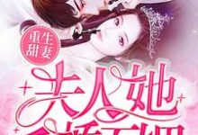 哪里能找到重生甜妻:夫人她千娇百媚小说的全部章节?-贝壳文学