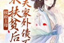 在线寻找沈妤安的小说，侯府主母不扶贫后，夫家外债不断免费阅读-贝壳文学