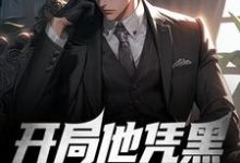 免费在线阅读开局他凭黑龙炮出圈了小说的正规网站有哪些？-贝壳文学