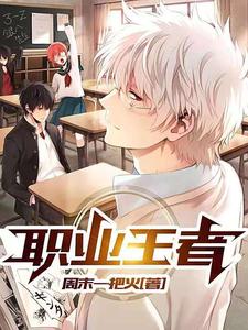 职业王者小说阅读，职业王者完结版