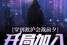小说《穿到淞沪会战前夕,开局加入黑风寨》章节免费阅读-贝壳文学