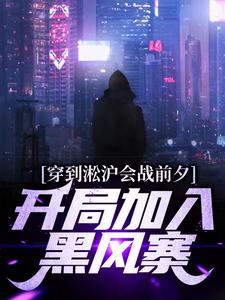 小说《穿到淞沪会战前夕，开局加入黑风寨》章节免费阅读