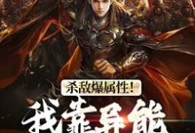 《杀敌爆属性！我靠异能逆袭皇位》全集免费在线阅读（李道）-贝壳文学