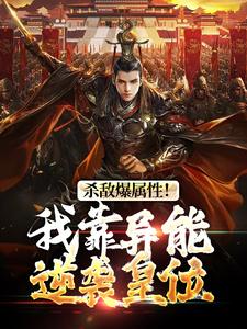 《杀敌爆属性！我靠异能逆袭皇位》全集免费在线阅读（李道）