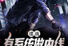 谍战:有系统做内线,我可以躺赢最新章节,谍战:有系统做内线,我可以躺赢章节在线阅读-贝壳文学
