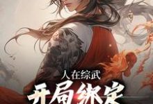 完结版《人在综武,开局绑定嘲讽曝光系统》章节阅读-贝壳文学