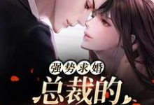 已完结小说《强势求婚,总裁的幸孕罪妻》章节在线阅读-贝壳文学