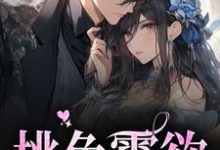桃色霸欲小说无弹窗阅读的网站推荐-贝壳文学